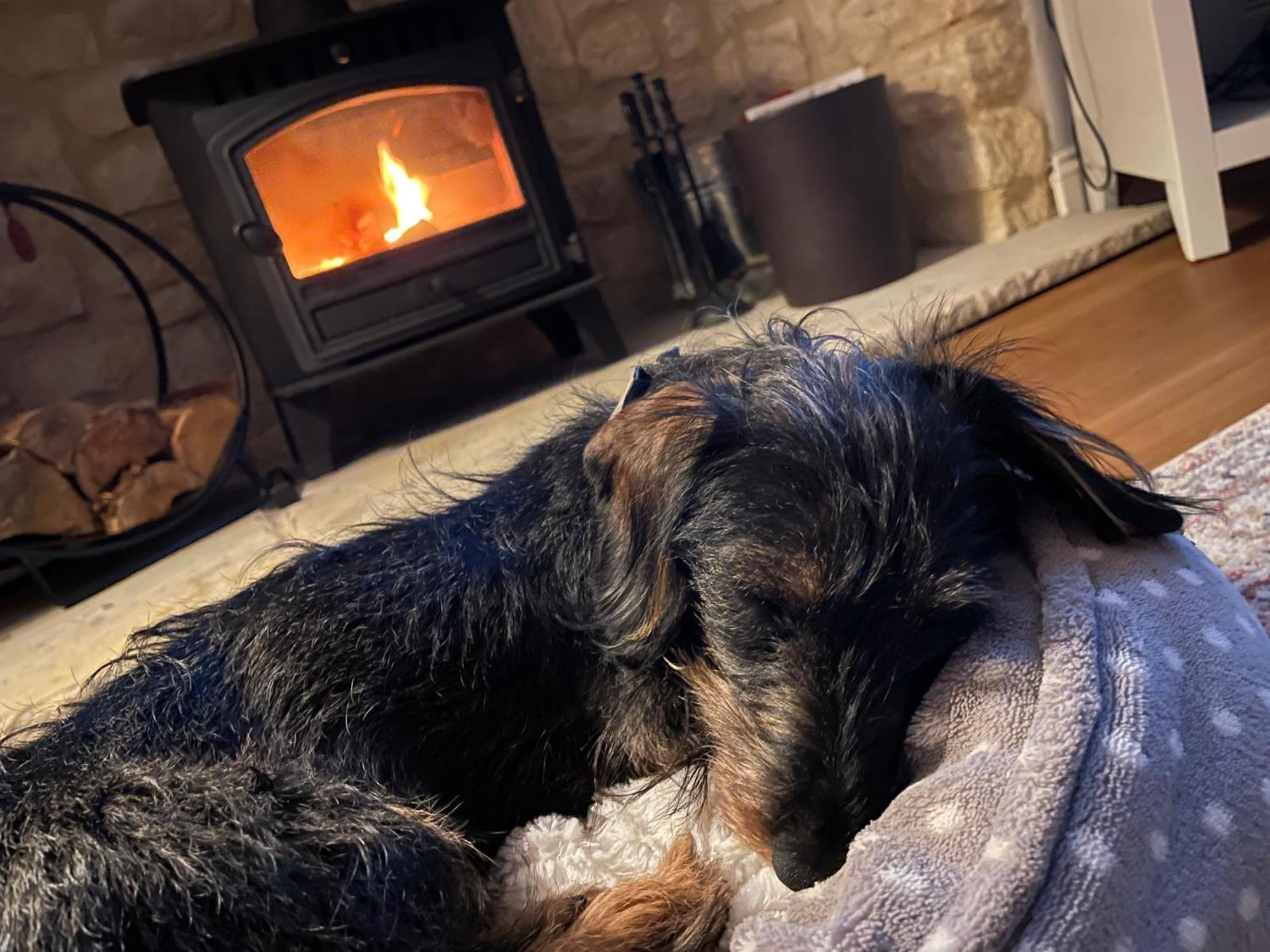 Cosy Cotswold Lodge By Your Home Here - Summer Sale For 3 Plus Nights - Ideal For Families With Log-Burner, Spa, Private Parking And Heated Swimming Pools Ashton Keynes Dış mekan fotoğraf